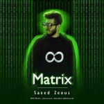 saeed zeous matrix 2022 08 29 16 00