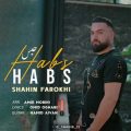 shahin farokhi habs dj puni remix 2023 07 06 18 35