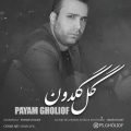 payam gholiof gole goldon 2023 08 28 18 08