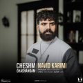 navid karimi cheshm ghashangam 2023 12 20 11 55