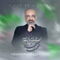 mohammad esfahani man mitonam ashegh sham 2024 03 16 14 15