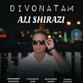 ali shirazi divonetam 2024 05 18 15 45