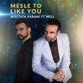 mostafa karami ft weli mesle to 2024 08 15 12 45