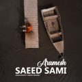 saeed sami aramesh 2024 08 18 00 05