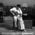 shervin hajipour shabooneh 2024 08 18 12 35