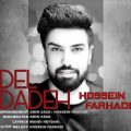 hossein farhadi deldadeh 2024 09 09 13 50