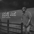 hamid amini ghalbe sard 2025 01 07 13 03