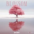 koli band blossom 2025 02 11 08 59