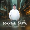 javad zare dokhtar darya 2025 03 16 08 03