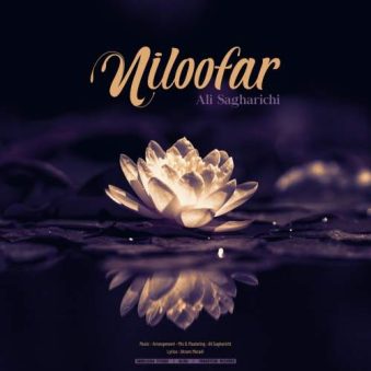 دانلود آهنگ علی ساغریچی نیلوفر