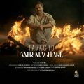 amir maghare tavagho 2025 05 13 11 50