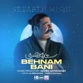 behnam bani setareh mishi 2025 05 31 15 40