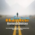 dariush delsoz hamishegi 2025 05 22 09 45