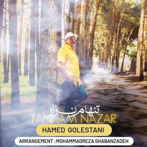 دانلود آهنگ حامد گلستانی تنهام نزار دانلود آهنگ حامد گلستانی تنهام نزار