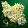 mohammad koohrokhi yek pelle balatar 2025 05 04 15 26