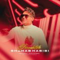 shahab habibi fereshteh 2025 05 18 10 50