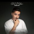 amir ka ghol midam 2025 06 11 10 45