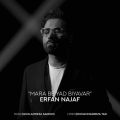 erfan najaf mara be yad biyavar 2025 06 10 09 25