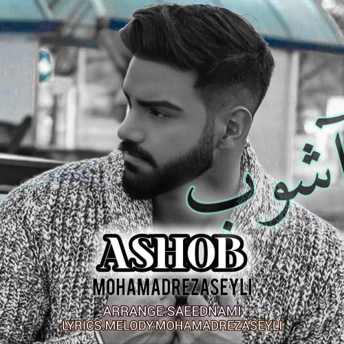 دانلود آهنگ محمدرضا سیلی آشوب دانلود آهنگ محمدرضا سیلی آشوب