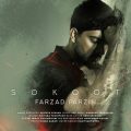farzad farzin sokoot 2025 07 23 17 25