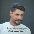 reza mehrzadegan zakhme kari 2025 07 21 12 45