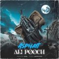 ali pooch asphalt 2025 08 07 09 50