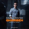 ehsan foroutan gharibeh 2025 08 30 20 40