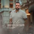 mohammadreza talebi injaneb 2025 08 12 10 30