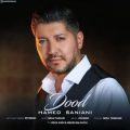 hamed saniani dood 2025 09 01 13 55