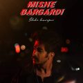 shahin hoseinpoor mishe bargardi 2025 09 19 13 15