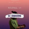 دانلود آهنگ دیجی ربوحه پادکست ملوپس 109 dj raboohe melopass 109 2025 10 25 17 00