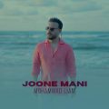 mohammad liam joone mani 2025 10 02 06 55