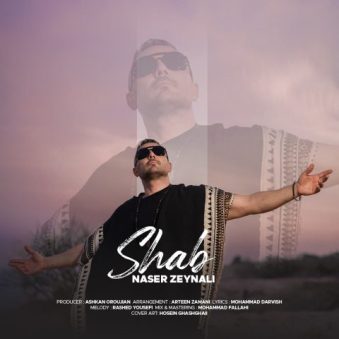 دانلود آهنگ ناصر زینلی شب (ناصر زینعلی)