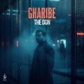 the don gharibe 2025 10 18 17 10