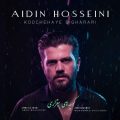 aidin hosseini koochehaye bigharari 2025 11 17 19 05