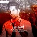 reza gardeshi bargard 2025 11 22 17 55
