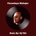 dj ts3 parandeye mohajer remix 2025 12 12 11 35
