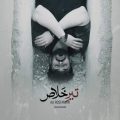 ali rostamian tire khalas 2026 05 15 10 25