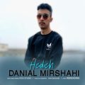 danial mirshahi hedieh 2026 05 29 08 55