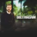 mehdi shayegh deltangam 2026 05 15 10 30