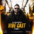 dj shahrad vibe cast 06 2026 06 02 11 30