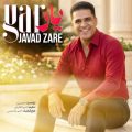 javad zare yar 2026 06 10 10 35