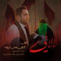 mehdi zare zadeh lalaei 2026 06 18 00 40