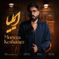 morteza keshavarz iliya 2026 06 04 17 25