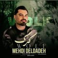 mehdi deldade wolf 2026 07 25 17 50