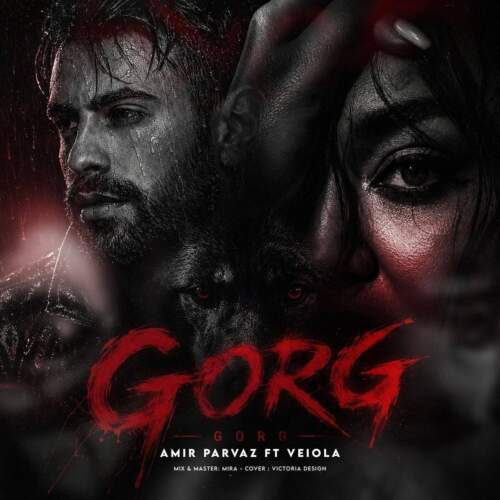 دانلود آهنگ امیر پرواز و ویولا گرگ