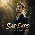 mohammad narimani sardard 2026 08 15 13 10