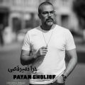 payam gholiof chera nemiraghsi 2026 08 07 16 30
