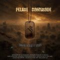 shahab tasalot x veiola pelake gomshode 2026 08 18 13 05