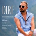 soroosh farahmand dire 2026 08 14 00 05